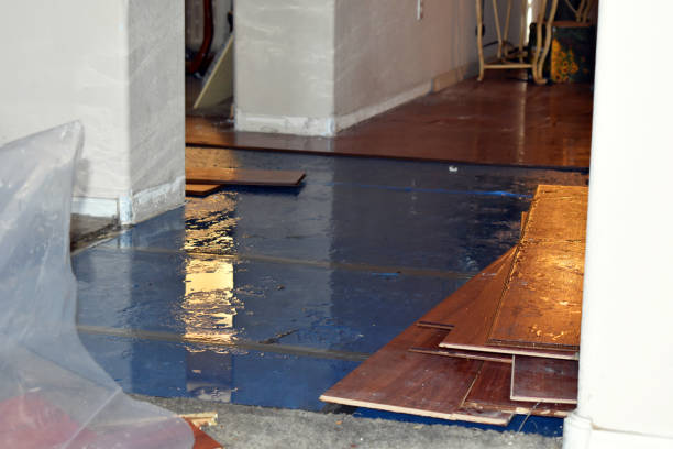 Professional Crawl Space Water Removal technician working in Clinton, MA